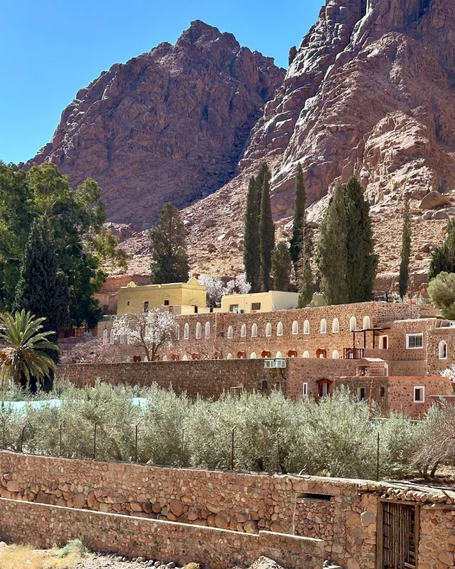 Beautiful Sinai